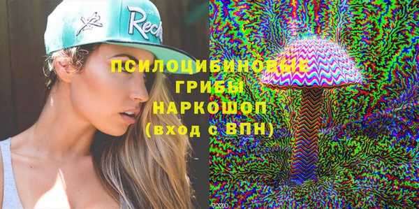 стафф Арсеньев