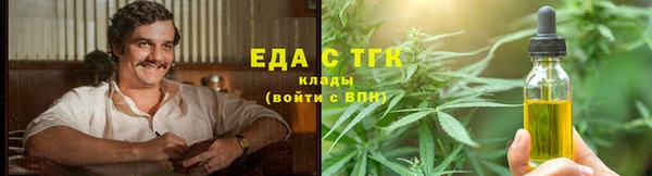 первитин Гусев
