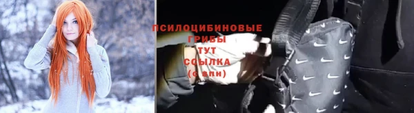 гашик Армянск
