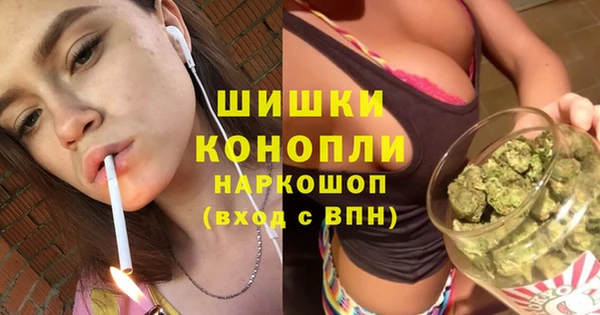 Альфа ПВП Аркадак