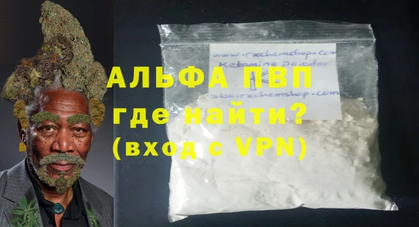 стафф Арсеньев