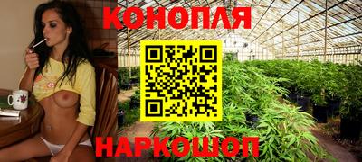 шишки Тулун
