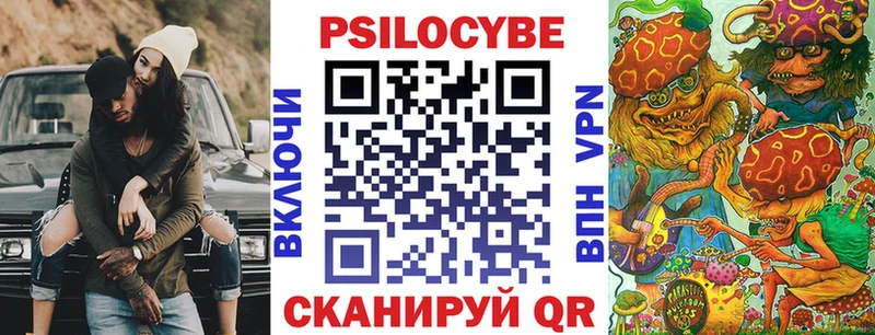 Галлюциногенные грибы Psilocybe Новомосковск