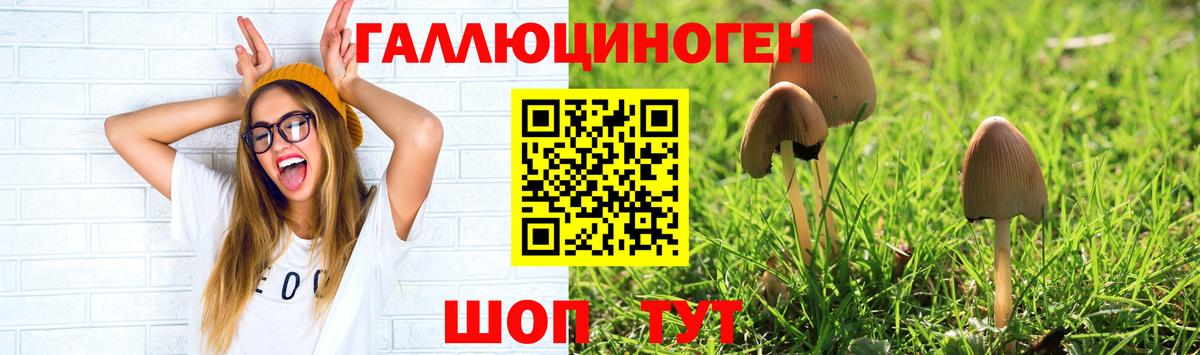 Галлюциногенные грибы прущие грибы  Вход с VPN  Новомосковск 